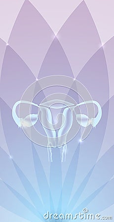 Uterus and ovaries Vector Illustration