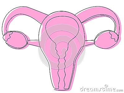 Uterus with ovaries in one line and pink silhouette on a white background. Vector Illustration