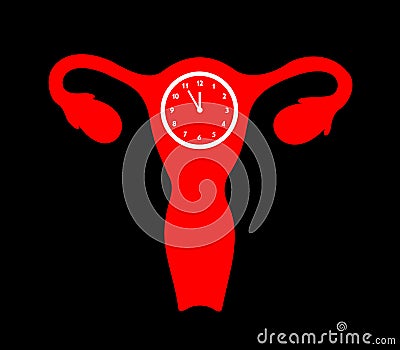 Uterus with time clock Vector Illustration