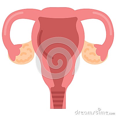 Uterus womb with ovary, cervix, fallopian tubes icon, vector illustration Vector Illustration