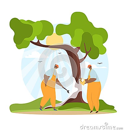 Utility service staff whitewash tree trunk Vector Illustration