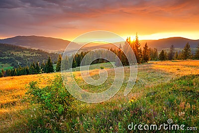 Utumn landscape. Colorful autumn nature. Picturesque hills and valleys in the morning. Stock Photo