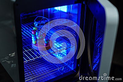 UV light sterilization of baby wooden toy to disinfection. COVID-19 prevention concept. ultra-violet sterilization and Stock Photo