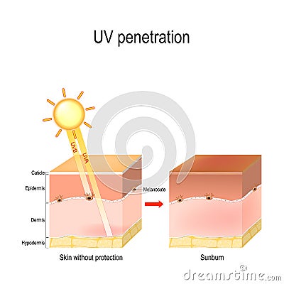 Uv penetration Vector Illustration