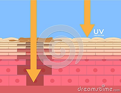 Uv protection , ultraviolet comparison Vector Illustration