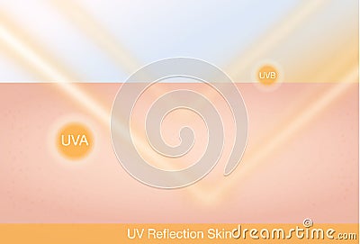 UV reflection skin Vector Illustration