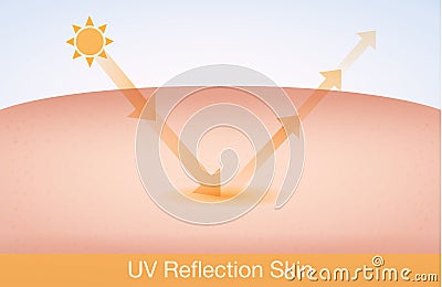 UV reflection skin Vector Illustration