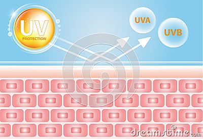 UV reflection skin after protection vector design Vector Illustration