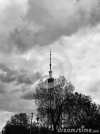 Beautiful tall trees in the heart of Kyiv or Kiev, the capital of Ukraine Stock Photo