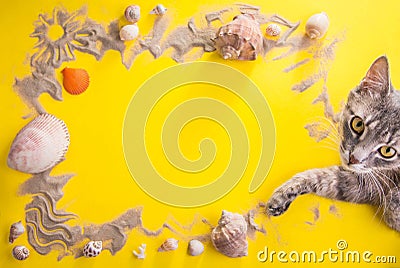 Vacation concept. Sand, seashells and accessories Stock Photo