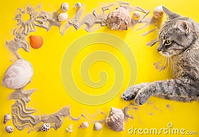 Vacation concept. Sand, seashells and accessories Stock Photo