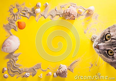 Vacation concept. Sand, seashells and accessories Stock Photo