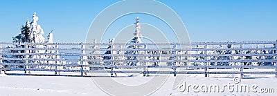 Vacation rural winter background with white pines, fence, snow field, mountains Stock Photo