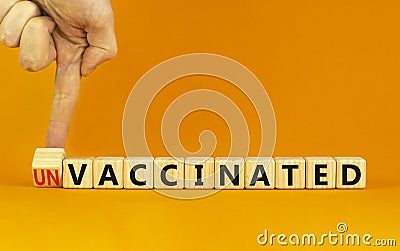 Vaccinated or unvaccinated symbol. Doctor turns a wooden cube and changes words `unvaccinated` to `vaccinated`. Beautiful oran Stock Photo