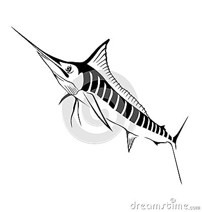 Vactorized Striped Marlin illustration Stock Photo