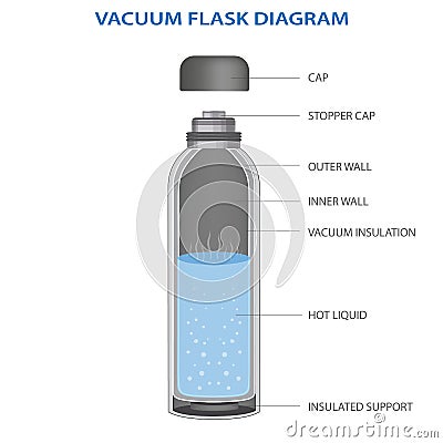 vacuum flask or Thermo flask fully diagram vector illustration Vector Illustration