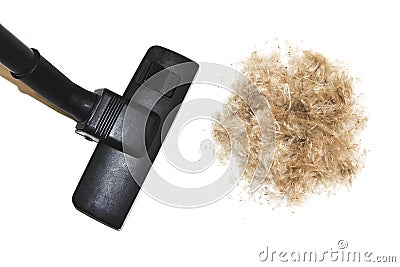 Vacuuming pet hair. Cleaning down with vacuum cleaner isolated on white background. Stock Photo