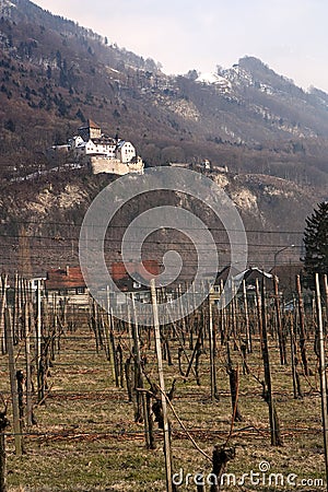 Vaduz castle and vineyard Stock Photo