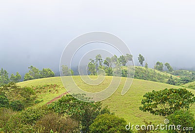 Vagamon Hills and Meadows - Misty Hills and Rainy Climate, Idukki, Kerala, India Stock Photo