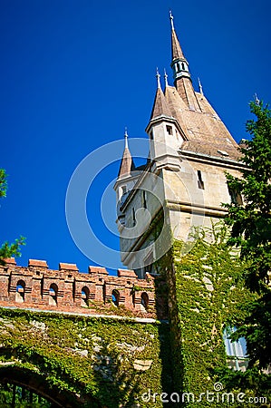 Vajdahunyad Castle Stock Photo