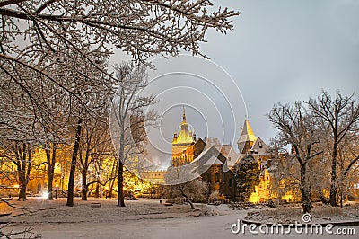 Vajdahunyad castle at night Stock Photo