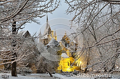 Vajdahunyad castle at night Stock Photo