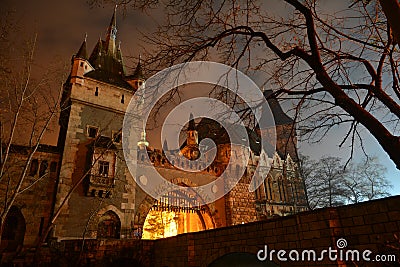 Vajdahunyad castle at night Stock Photo