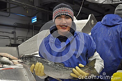 Valdez, Alaska. August 2011. Processing fresh salmon at a fish factory. Editorial Stock Photo