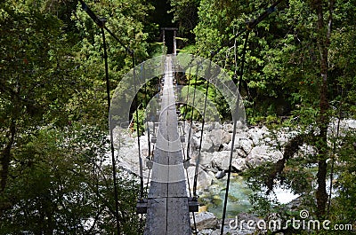 Ecoregion of the Valdivian temperate rainforests in southern Chile Chilean Patagonia Stock Photo