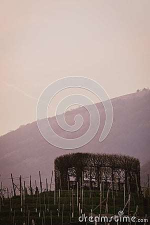 Valdobbiadene Treviso Italy Stock Photo