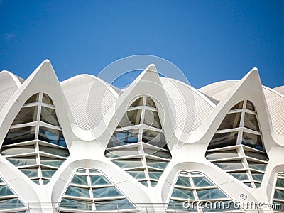 Valencia, Spain - August 2009: Arts and Science Museum by Calatrava Editorial Stock Photo