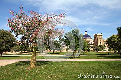 Valencia, Spain Stock Photo