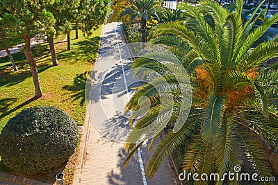 Valencia Turia park gardens view at Spain Stock Photo