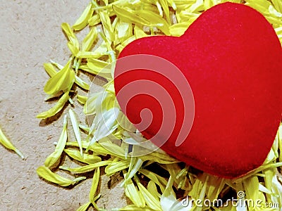 Valentain day concept copy space heart shape and crysathimam petals Stock Photo