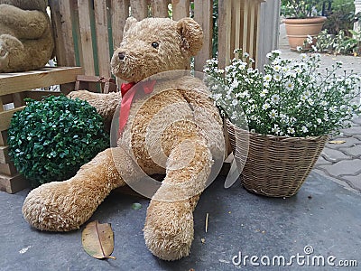 Valentine Bear sitting and lean on flower basket Stock Photo