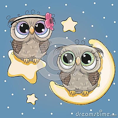 Valentine card with Lovers Owls Vector Illustration