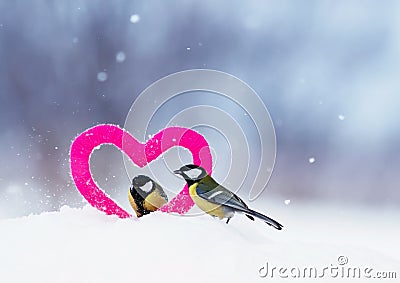 Cute Valentine card with a pair of birds next to a knitted decorative element pink heart stand in the snow in the Park Stock Photo