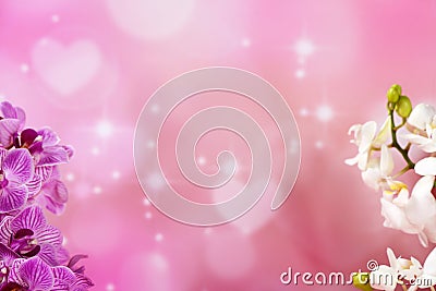 Valentine concept with orchid flower and hearts Stock Photo