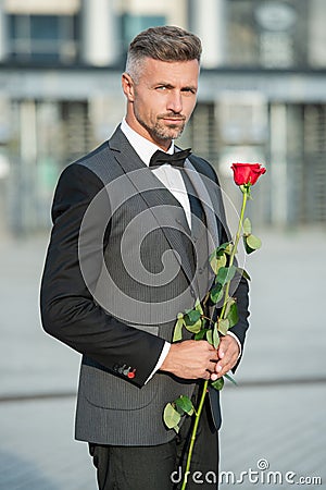 valentine day concept. grizzle black tuxedo man with valentine rose. flower gift for valentine day Stock Photo