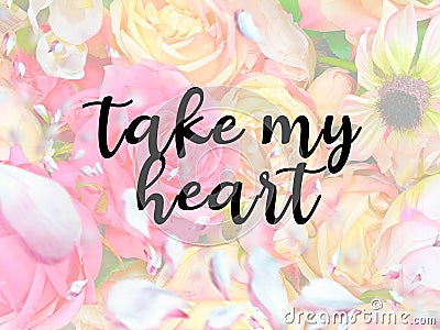 Valentine day greetings card women day birthday greetings holiday quotes text happy wishes take my heart pink roses spring summ Stock Photo