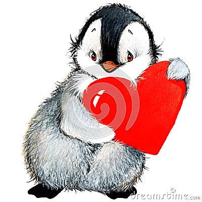 Valentine day penguin, red heart Stock Photo