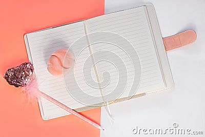 Valentine flatlay. Blank diary, pink heartshaped pen feathers on white background. Notebook mockup, cute girlish style Stock Photo