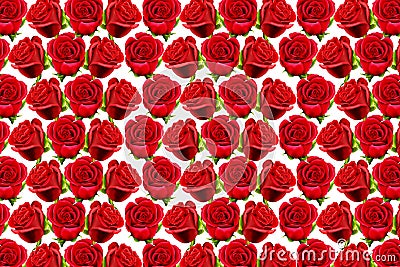 Valentine roses pattern Stock Photo