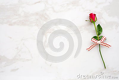 Valentine`s day background, template, Red rose, love symbol, on Stock Photo