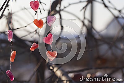 valentine's day card multicolored ice hearts in sunlight Stock Photo