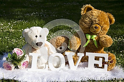 Valentine`s Day and love, plush bears for lovers and a meadow full of daisies Stock Photo