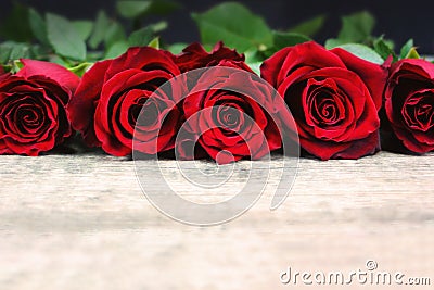 Valentine`s Day Roses in a Line on Rustic Wooden Background Stock Photo