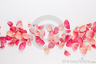 Valentine`s Day. Rose flowers petals on white background. Valentines day background. Flat lay, top view, copy space Stock Photo