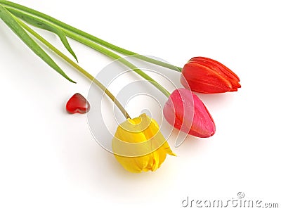 Valentine tulips Stock Photo