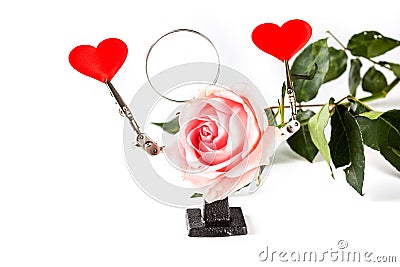 .Valentines Day background with tool third hand holding hearts and rose on white Stock Photo